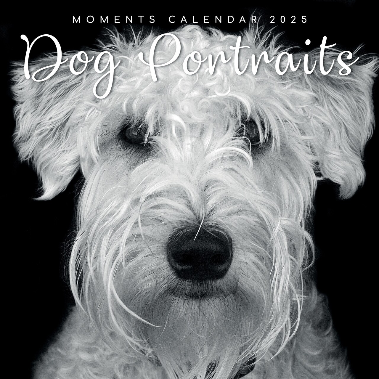 2025 Square Wall Calendar, Dog Portraits, 16-Month Black and White Photos with 180 Reminder Stickers (12 x 12 In)